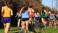 Rear view of girls running uphill in a 5K on grass in a park Royalty Free Stock Photo