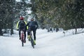 Rear view of mountain bikers riding on road in forest outdoors in winter. Royalty Free Stock Photo