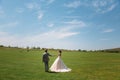 Rear view, newlyweds are walking along the green field of the golf club on a wedding day. The bride and groom in wedding Royalty Free Stock Photo