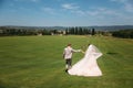 Rear view, newlyweds are walking along the green field of the golf club on a wedding day. The bride and groom in wedding Royalty Free Stock Photo