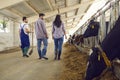 Rear view of a pair of young farmers with a farm worker in a cowshed walking past a row of cows. Royalty Free Stock Photo