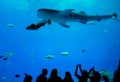 Rear view of people watching fishes in aquarium