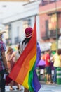 Rear view of person holding gay pride flag