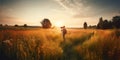 Rear view of a photographer capturing the stunning beauty of a summer landscape, with vibrant colors and warm sunlight