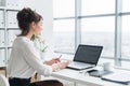 Rear view portrait of a businesswoman sitting on her workplace in the office, typing, looking at pc screen. Royalty Free Stock Photo