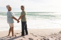 Rear view portrait of smiling multiracial senior couple holding hands at beach during sunny day Royalty Free Stock Photo