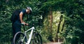 Rear view of professional male cyclist cycling on mountain road on nature background. Male bicyclist riding a bike in the forest