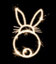 Rear view of a rabbit on a black background is drawn with sparklers, an imitation of a long exposure