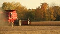 Rear view of Red Combine in Soybean Field Royalty Free Stock Photo