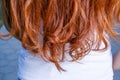 Rear view of red haired woman and copyspace on shirt beneath Royalty Free Stock Photo