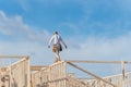 Rear view roofer builder worker on wooden roof trusses construct