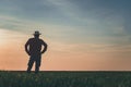 Rear view of satisfied farmer in wheatgrass field