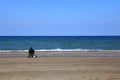 Rear view of a seated man, contemplating the horizon, Al Qurum Beach, Muscat, Oman