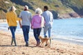 Rear View Of Senior Couple Walking Along Shoreline With Adult Offspring And Dog On Winter Beach Royalty Free Stock Photo