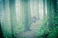 Rear view senior lady trekking foggy Poo Poo Point trail in Washington, USA