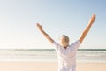 Rear view of senior man with arms raised standing at beach Royalty Free Stock Photo