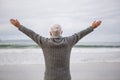 Rear view of senior man standing with arms outstretched on beach Royalty Free Stock Photo