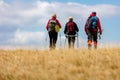 Rear view shot of young friends in countryside during summer holiday hiking. Group of hikers walking in the nature. Royalty Free Stock Photo