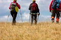 Rear view shot of young friends in countryside during summer holiday hiking. Group of hikers walking in the nature. Royalty Free Stock Photo