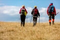 Rear view shot of young friends in countryside during summer holiday hiking. Group of hikers walking in the nature. Royalty Free Stock Photo