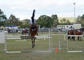 Rear view show jumping horse & rider equestrian event at fair