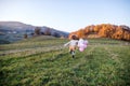 Rear view of small girl with balloons running in autumn nature.