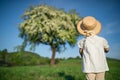 Rear view of small toddler girl walking on meadow outdoors in summer. Royalty Free Stock Photo