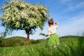 Rear view of small toddler girl walking on meadow outdoors in summer. Royalty Free Stock Photo