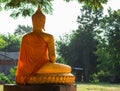 Rear view. Statue of old Buddha meditating beautiful bright gold.