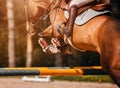 A rear view of a strong racehorse with a rider in the saddle, jumping over a high barrier at a show jumping competition on a sunny Royalty Free Stock Photo