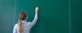 Rear view of a student or teacher with long brunette hair writing on a blank green blackboard or chalkboard with copyspace Royalty Free Stock Photo