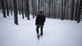 Rear view of stylish man walking in winter. Media. Stylish shooting of man walking in winter forest. Man walks with Royalty Free Stock Photo