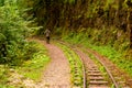 Rear view of tourist in camouflage enjoying amazing beauty of nature. Excursion on old narrow railroad in mountain region