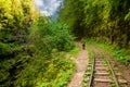 Rear view of tourist in camouflage enjoying amazing beauty of nature. Excursion on old narrow railroad in mountain region