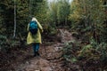Rear view of a tourist in a raincoat with a backpack and a stick walking along a rocky path in the autumn forest