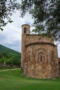 Rear view with tree of the Collegiate Church of San Martin de Elines of the twelfth century