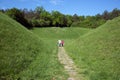 Rear View Of Two Little Boys Holding Hands And Walking Through The Green Field Towards The Forest Royalty Free Stock Photo