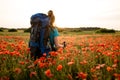 Rear view of woman with backpack and sticks stands in poppy field and looking into distance Royalty Free Stock Photo