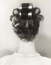 Rear view of woman with curlers in her hair Royalty Free Stock Photo