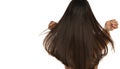 Rear view of a woman with a long straith hair Royalty Free Stock Photo