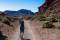 Rear view of woman on scenic hiking trail through a canyon near Montana Majua in volcano Mount Teide National Park, Tenerife Royalty Free Stock Photo
