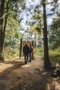 Rear view of woman and senior man reading tourist paths maps in Black Forest Royalty Free Stock Photo