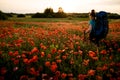 Rear view of young attractive woman with backpack and sticks who walking on field of poppies Royalty Free Stock Photo