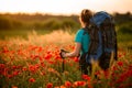 Rear view of young attractive woman with backpack and walking sticks stands on field of poppies Royalty Free Stock Photo