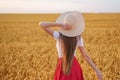 Rear view of young beautiful woman with long hair on background of wheat field. Natural beauty Royalty Free Stock Photo