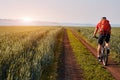 Rear view of the young cyclist riding mountainbike on the beautiful summer trail on the field. Royalty Free Stock Photo