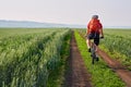 Rear view of the young cyclist riding mountainbike on the beautiful summer trail of the field.