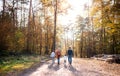 Rear view of young family with small children and dog on a walk in autumn forest. Royalty Free Stock Photo