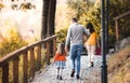 A rear view of young family with children walking in park in autumn. Royalty Free Stock Photo