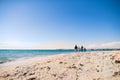 Rear view of young family with two small children walking outdoors on beach. Royalty Free Stock Photo